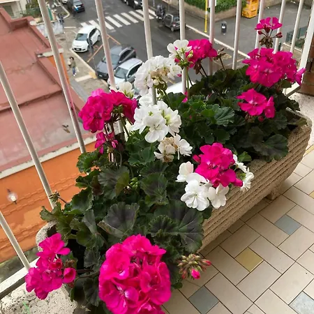 Gasthuis Le Mille E Notte