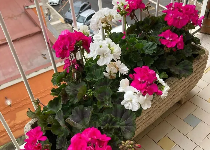 Гостевой дом Le Mille E Notte